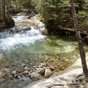 Meet your Posher, NJ